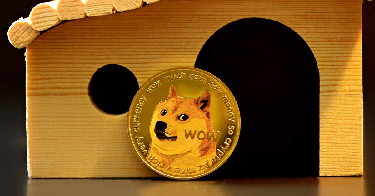 Today Best News of Dogecoin