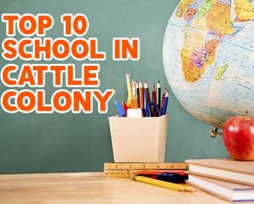 10 Best School in Cattle Colony Landhi Karachi